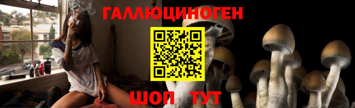 Псилоцибиновые грибы мицелий  Вход с VPN  Галлюциногенные грибы Cubensis  Дивногорск 