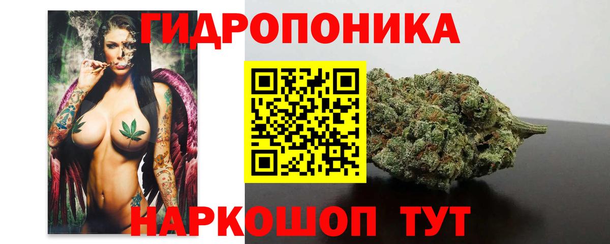 Канабис планчик  Вход с VPN  Каннабис AK-47  Дивногорск 